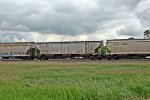 UP 79729